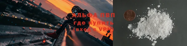PSILOCYBIN Балахна