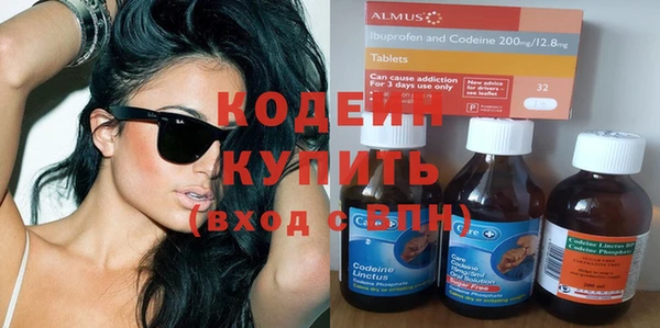 гидра Елабуга