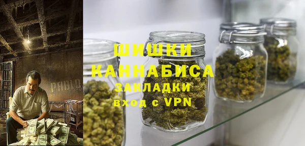 PSILOCYBIN Балахна