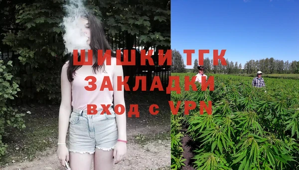 PSILOCYBIN Балахна