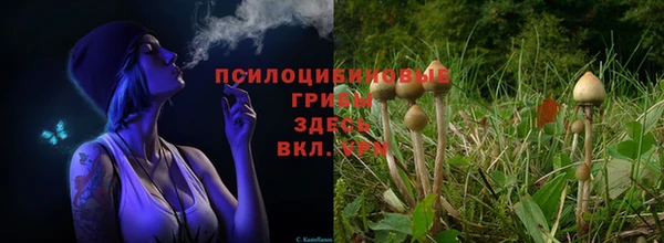 кокаин премиум Баксан