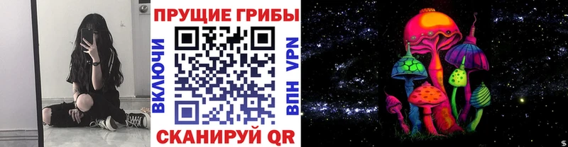 Галлюциногенные грибы Psilocybine cubensis цены наркотик Белозерск